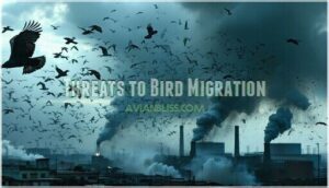 threats to bird migration threats to bird migration