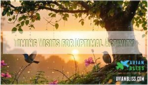 timing visits for optimal activity timing visits for optimal activity