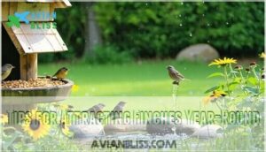 tips for attracting finches year-round