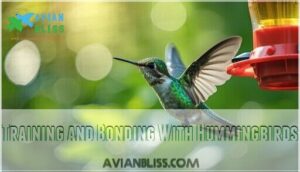 training and bonding with hummingbirds