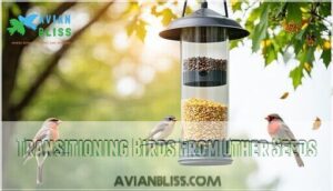 transitioning birds from other seeds
