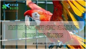 trauma or injury from falling or flying into objects