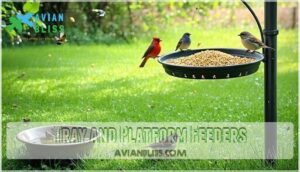 tray and platform feeders