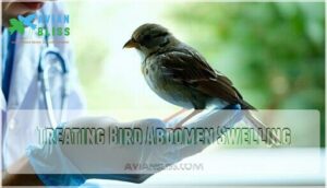 treating bird abdomen swelling
