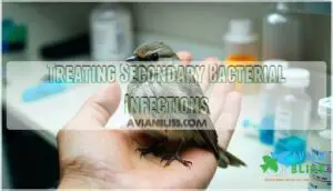 treating secondary bacterial infections