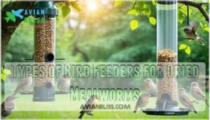 types of bird feeders for dried mealworms