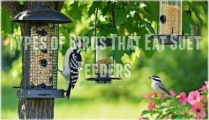 types of birds that eat suet feeders