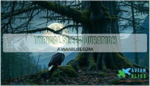 typical sleep duration