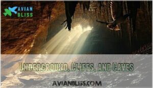 underground, cliffs, and caves
