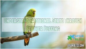 understand emotional state through feather puffing