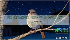 understanding chuck-will's-widow behavior