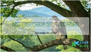 understanding hawk behavior