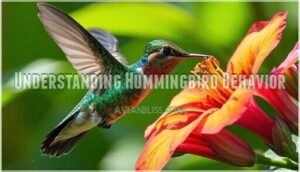 understanding hummingbird behavior