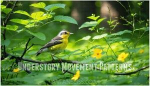 understory movement patterns