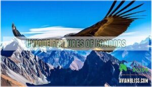unique features of condors