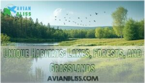 unique habitats: lakes, forests, and grasslands unique habitats: lakes, forests, and grasslands