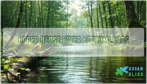 upper neuse river bottomlands