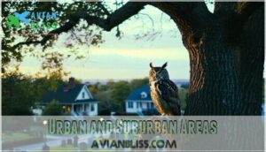 urban and suburban areas