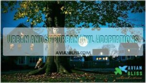 urban and suburban owl adaptations
