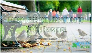urban birds and adaptation to human presence
