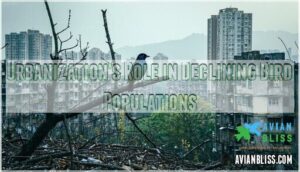 urbanization's role in declining bird populations urbanization's role in declining bird populations