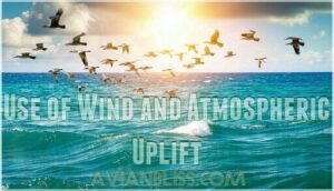 use of wind and atmospheric uplift use of wind and atmospheric uplift