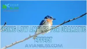 using low angles for dramatic effect