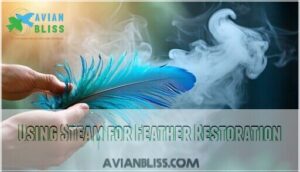 using steam for feather restoration