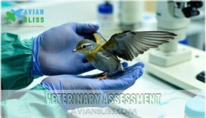 veterinary assessment veterinary assessment