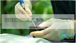 veterinary diagnosis and treatment