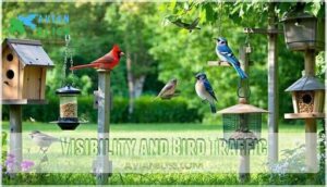 visibility and bird traffic