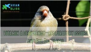 vitamin a deficiency—respiratory issues and eye problems