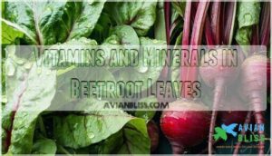 vitamins and minerals in beetroot leaves
