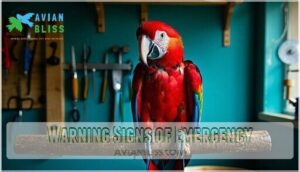 warning signs of emergency