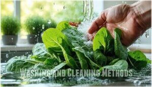 washing and cleaning methods