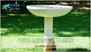 water capacity and depth