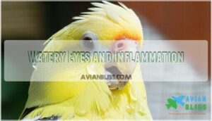watery eyes and inflammation