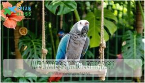 weakness and lethargy