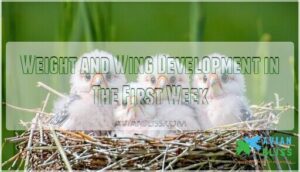 weight and wing development in the first week