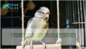 weight loss and poor condition