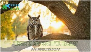 western screech owl habitat