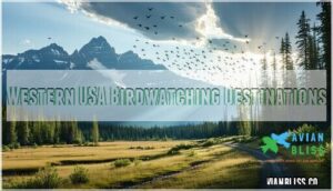 western usa birdwatching destinations