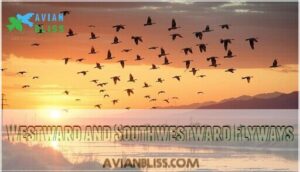 westward and southwestward flyways
