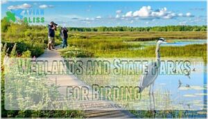 wetlands and state parks for birding
