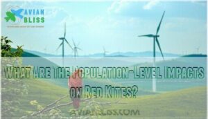 what are the population-level impacts on red kites