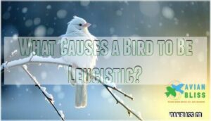 what causes a bird to be leucistic