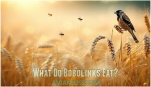 what do bobolinks eat