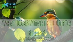 what does vitamin d do for birds