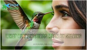 what hummingbirds mean by staring