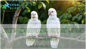 what is the difference between leucism and albinism